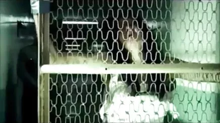 Mika 3 (sexy1foryou) gai xinh thu ram