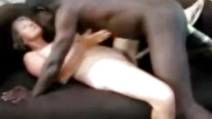 Xem con mèo thủ dâm nhà vệ sinh của tôi