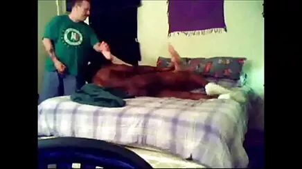 Nóng bigo gai thu dam lỗ hơn trên <phát triển